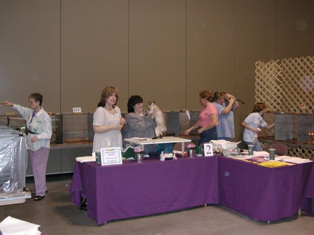 Austin Cat Fanciers 2003 show