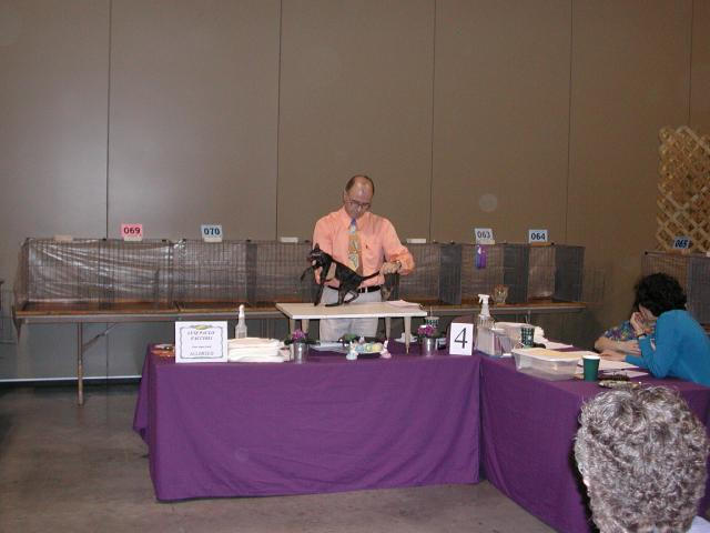Austin Cat Fanciers 2003 show