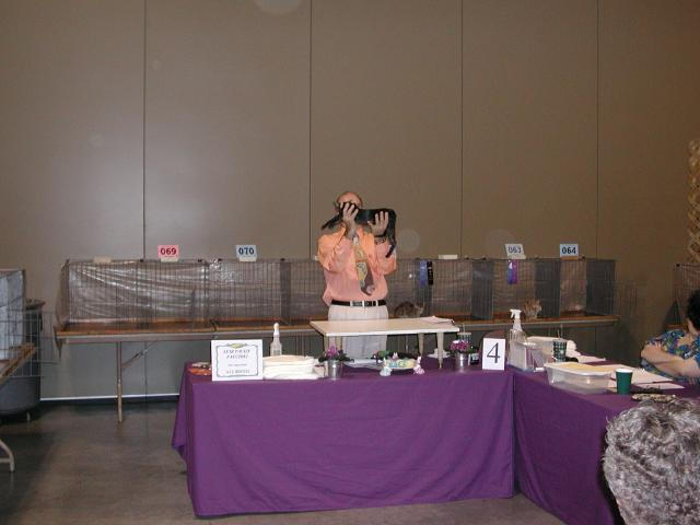 Austin Cat Fanciers 2003 show
