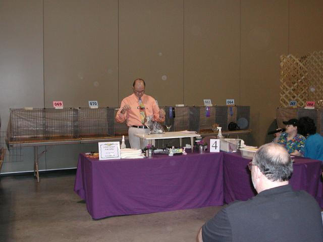 Austin Cat Fanciers 2003 show