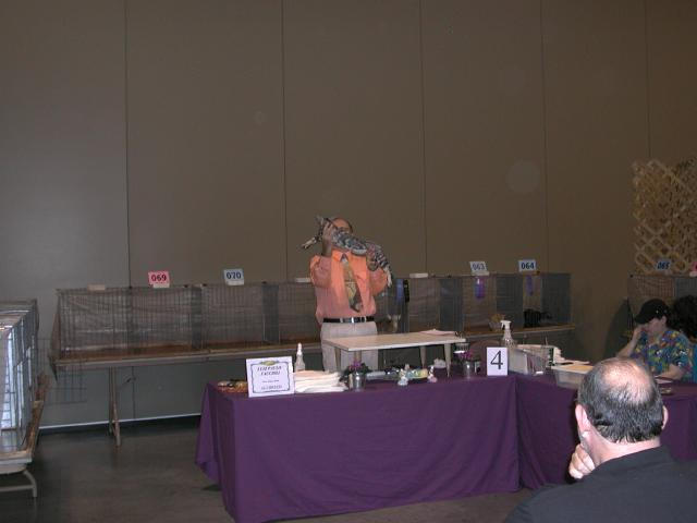 Austin Cat Fanciers 2003 show