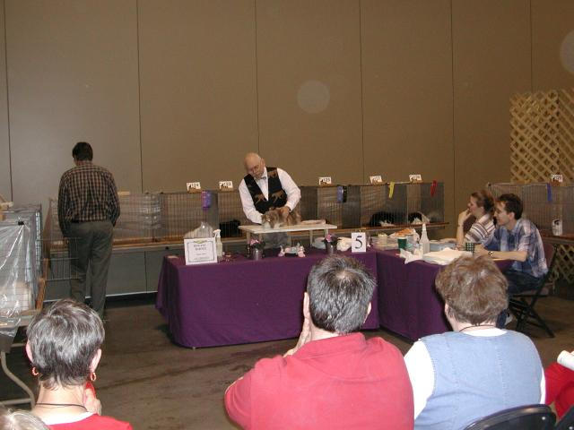 Austin Cat Fanciers 2003 show