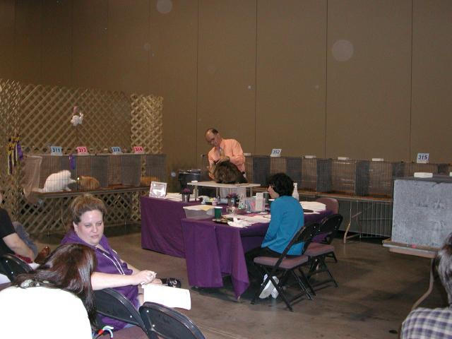 Austin Cat Fanciers 2003 show
