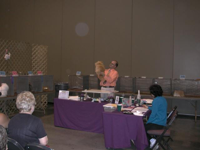 Austin Cat Fanciers 2003 show