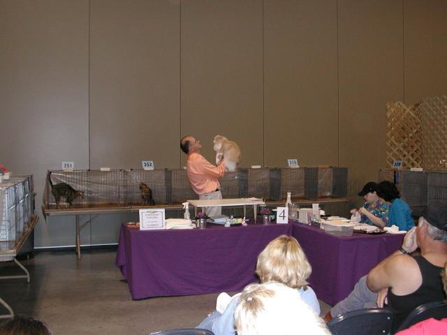 Austin Cat Fanciers 2003 show