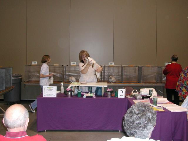 Austin Cat Fanciers 2003 show