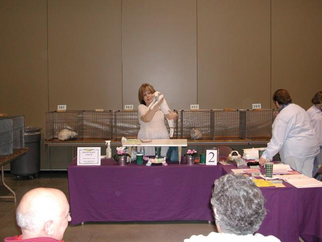 Austin Cat Fanciers 2003 show