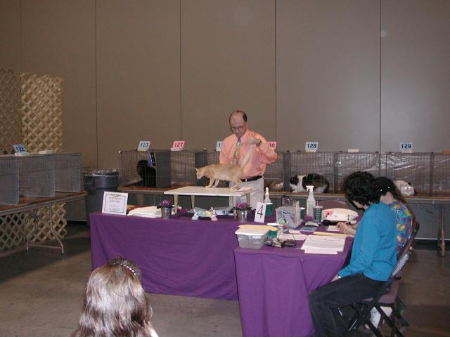 Austin Cat Fanciers 2003 show