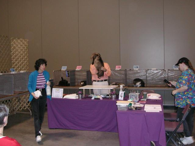Austin Cat Fanciers 2003 show