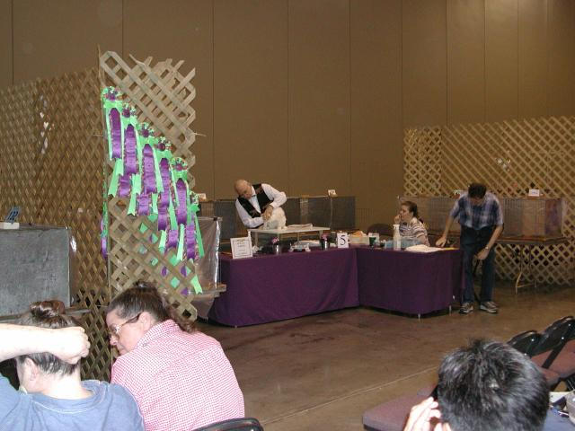 Austin Cat Fanciers 2003 show