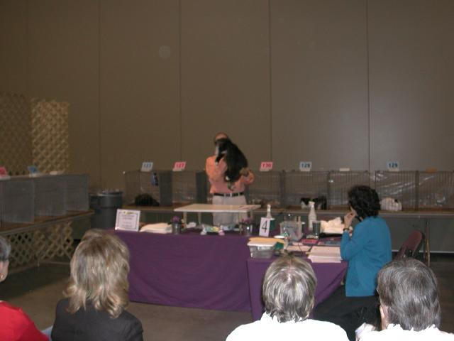 Austin Cat Fanciers 2003 show