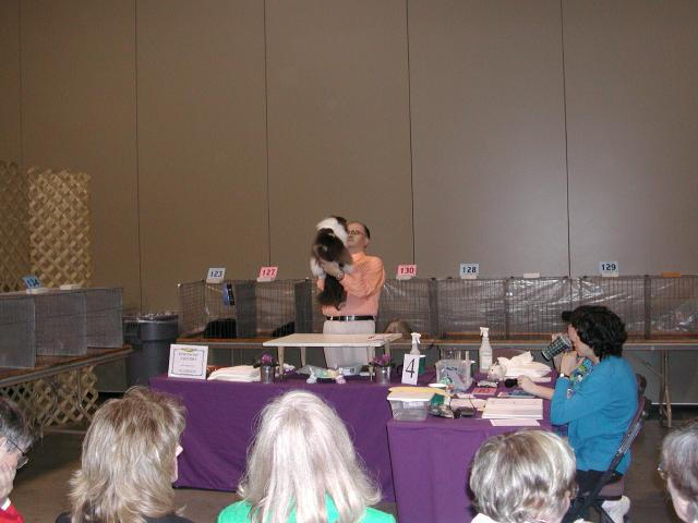Austin Cat Fanciers 2003 show