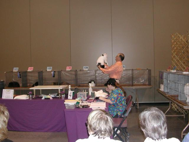 Austin Cat Fanciers 2003 show