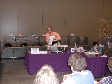 Austin Cat Fanciers 2003 show