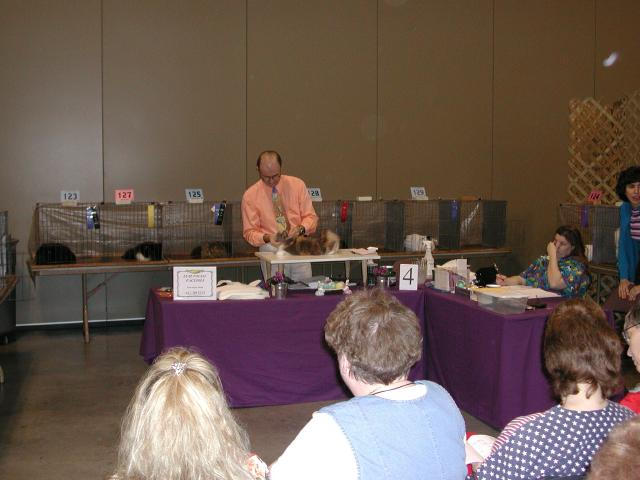 Austin Cat Fanciers 2003 show