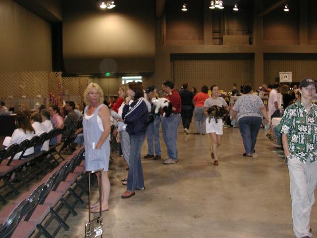 Austin Cat Fanciers 2003 show