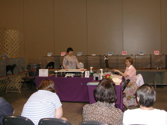 Austin Cat Fanciers 2003 show