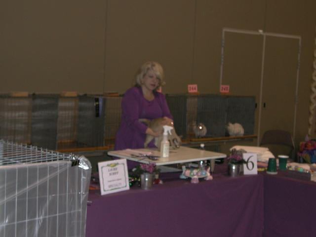 Austin Cat Fanciers 2003 show