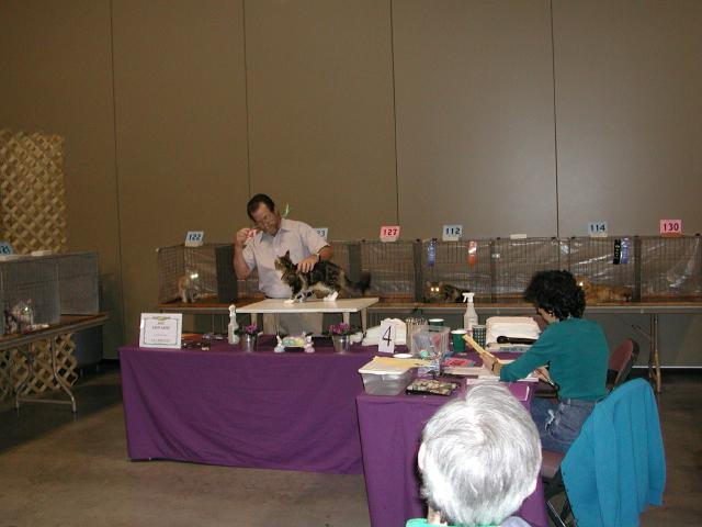Austin Cat Fanciers 2003 show