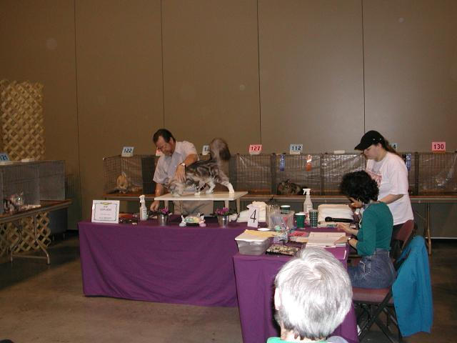 Austin Cat Fanciers 2003 show