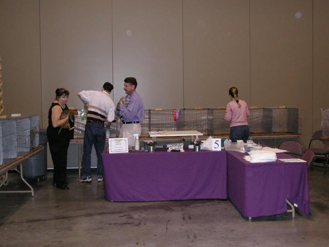 Austin Cat Fanciers 2003 show