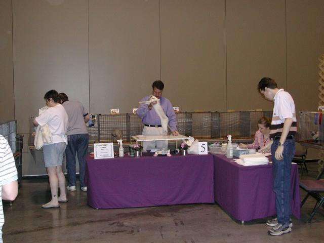 Austin Cat Fanciers 2003 show