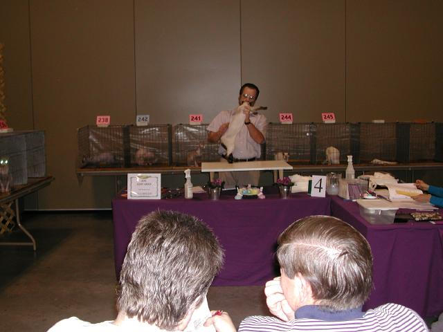 Austin Cat Fanciers 2003 show