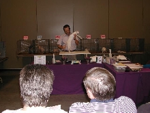 Austin Cat Fanciers 2003 show