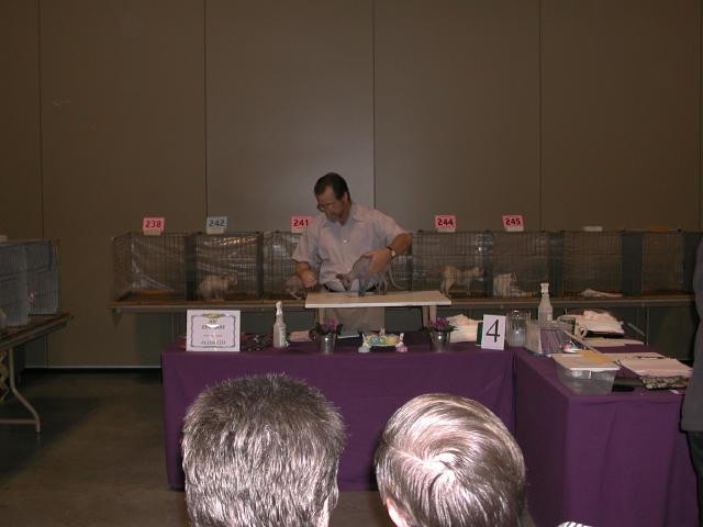 Austin Cat Fanciers 2003 show