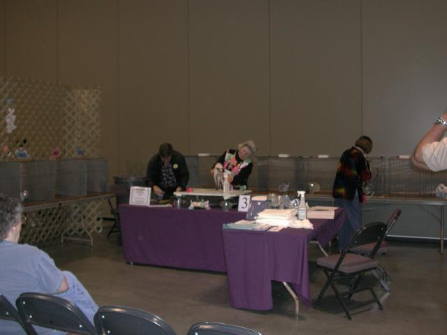 Austin Cat Fanciers 2003 show