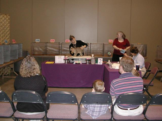 Austin Cat Fanciers 2003 show