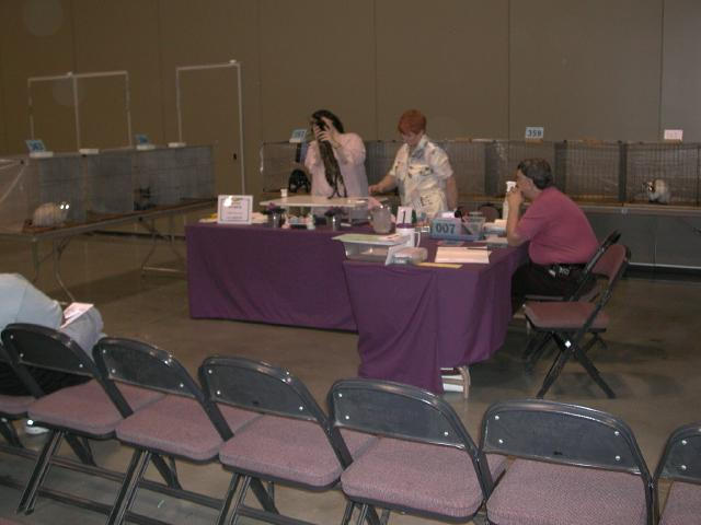 Austin Cat Fanciers 2003 show