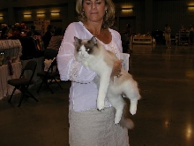 Austin Cat Fanciers 2003 show