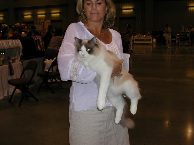 Austin Cat Fanciers 2003 show