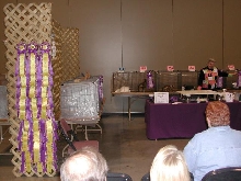 Austin Cat Fanciers 2003 show