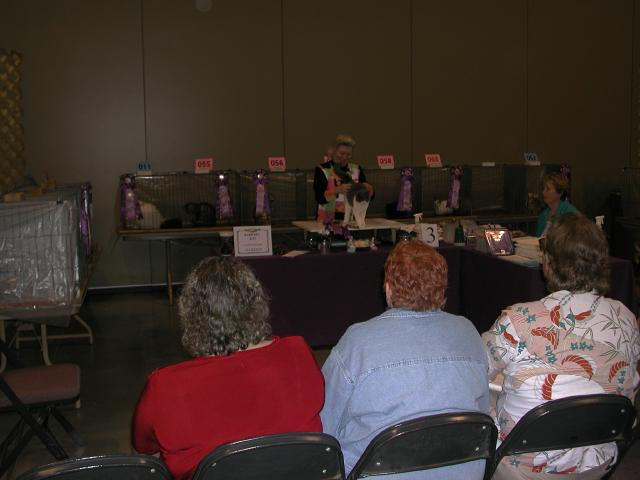 Austin Cat Fanciers 2003 show