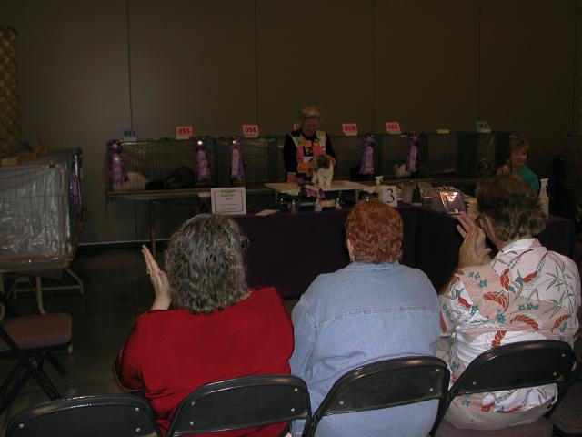 Austin Cat Fanciers 2003 show