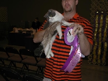 Austin Cat Fanciers 2003 show