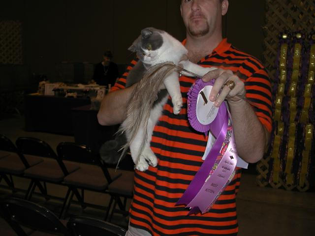 Austin Cat Fanciers 2003 show