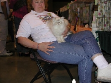 Austin Cat Fanciers 2003 show