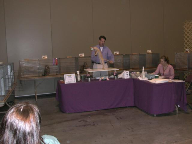 Austin Cat Fanciers 2003 show