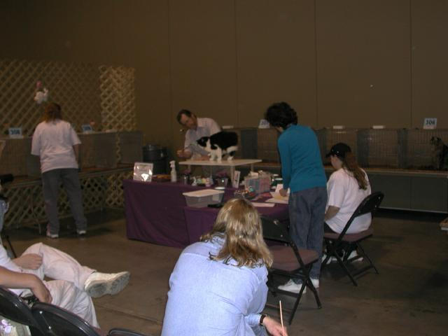 Austin Cat Fanciers 2003 show