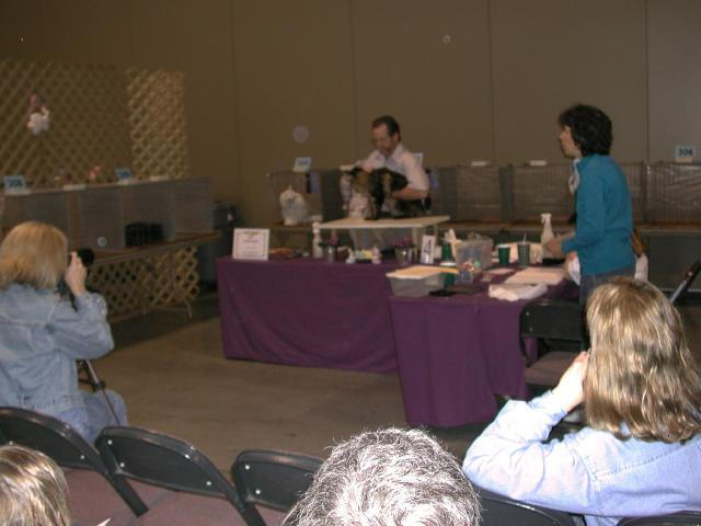 Austin Cat Fanciers 2003 show