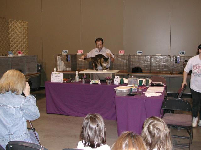Austin Cat Fanciers 2003 show