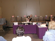 Austin Cat Fanciers 2003 show