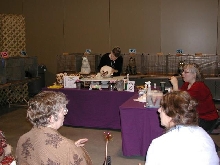 Austin Cat Fanciers 2003 show
