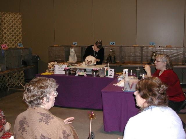 Austin Cat Fanciers 2003 show