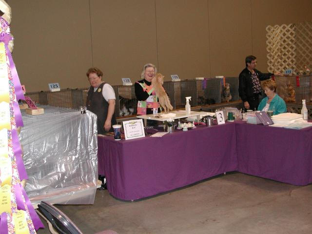 Austin Cat Fanciers 2003 show