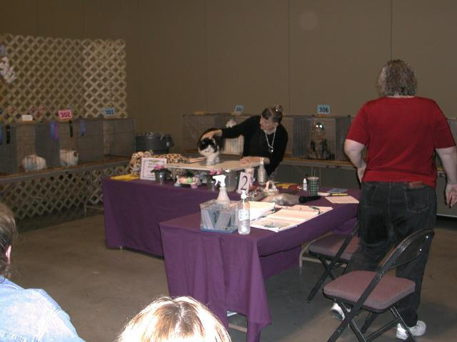 Austin Cat Fanciers 2003 show
