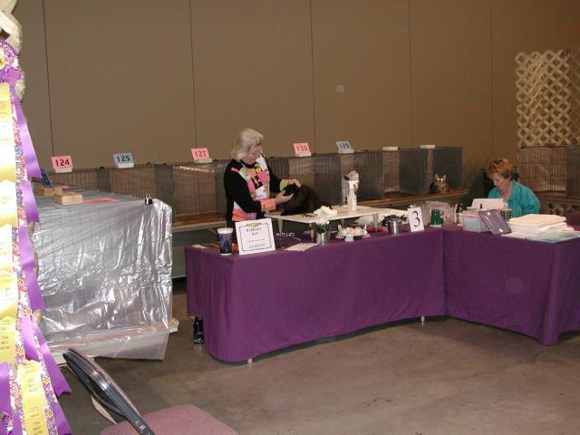 Austin Cat Fanciers 2003 show